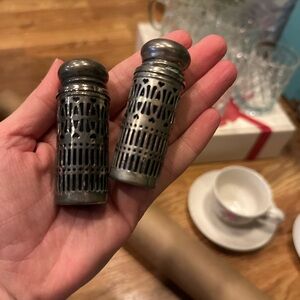 Elegant Silver Salt and Pepper Shakers